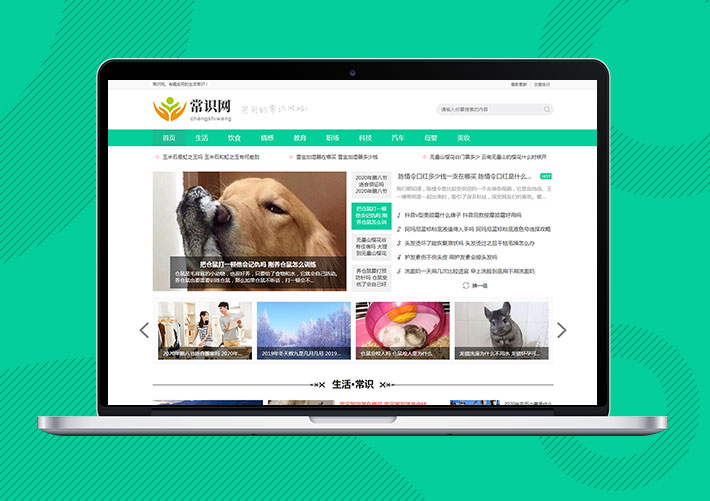 自媒體新聞資訊Eyoucms網站模板帶手機端